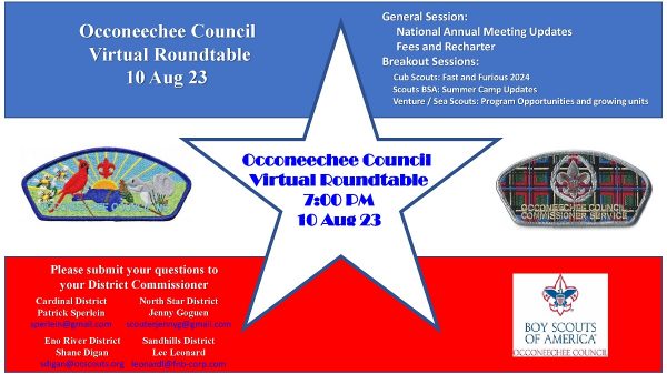 virtual roundtable