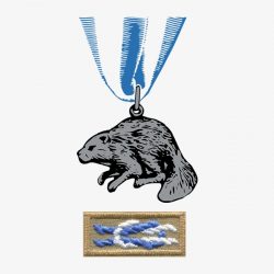 Silver Beaver and knot